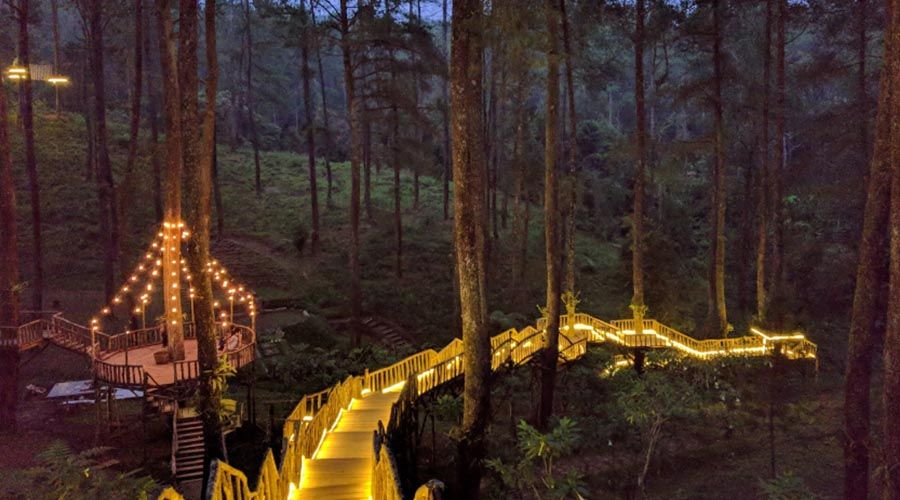 Orchid Forest Cikole Lembang Bandung Ada Apa Saja Di Sana Kabar Wisata 9333